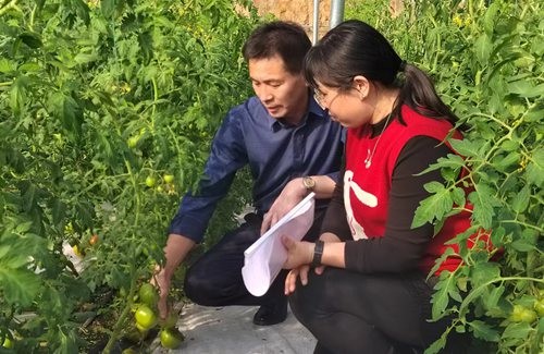 微信图片_202302181441031