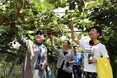 微信图片_202307101131413