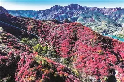 微信图片_202211100805491