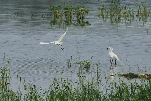 u=910786711,1776043446&fm=253&fmt=auto&app=138&f=JPEG